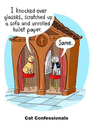 Cat Confession Funny Cats  Cartoons A funny birthday card of a cat confessing his sins to another cat who does the same thing. | happy birthday cat confession confessional sin knock over glass scratch sofa couch unroll toilet paper claws funny humorous illustration booth catholic priest cloth cross Christ church secret feline collar bad naughty trouble You do You and have a happy birthday.
